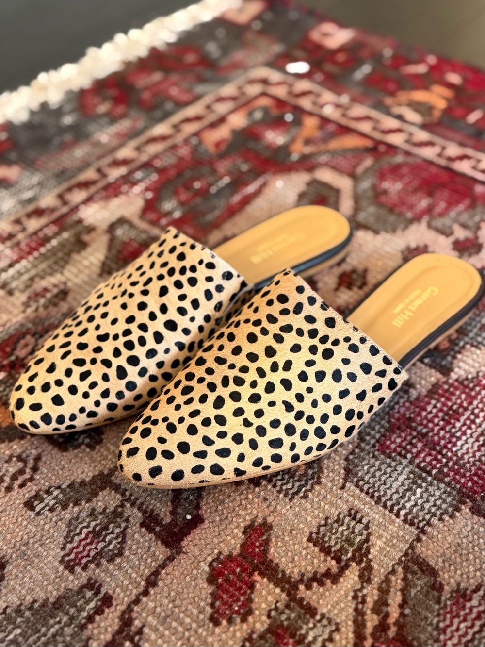 Garnet Hill Tan and Black Spotted Mule Clogs